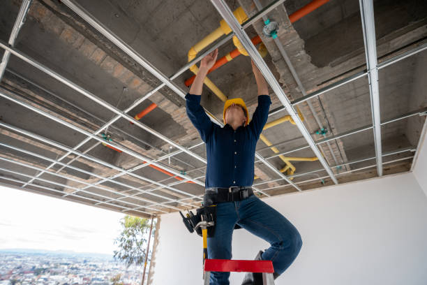 Best Emergency Plumbing Repair  in Shady Side, MD